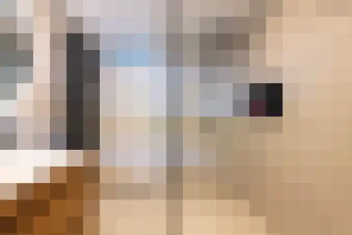 Guido Gezellelaan 5 Berkel-Enschot thumbnail 30