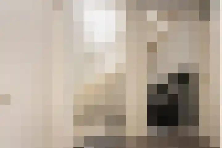 Guido Gezellelaan 5 Berkel-Enschot thumbnail 31