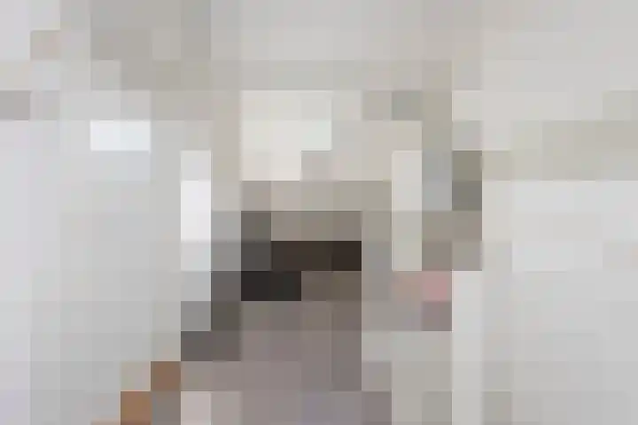 Guido Gezellelaan 5 Berkel-Enschot thumbnail 32