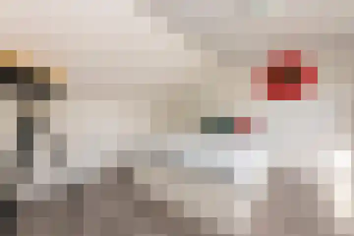 Guido Gezellelaan 5 Berkel-Enschot thumbnail 34