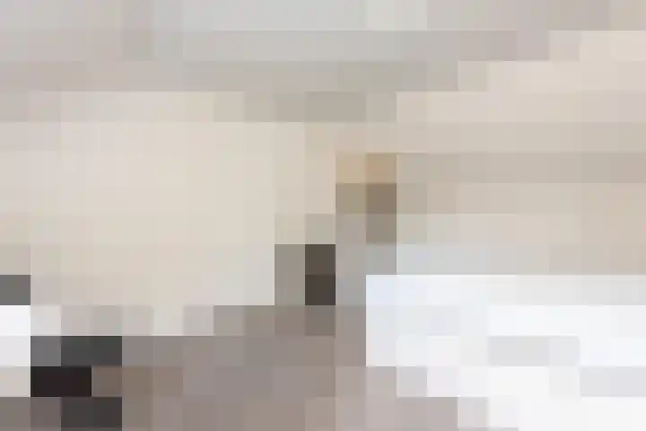 Guido Gezellelaan 5 Berkel-Enschot thumbnail 36