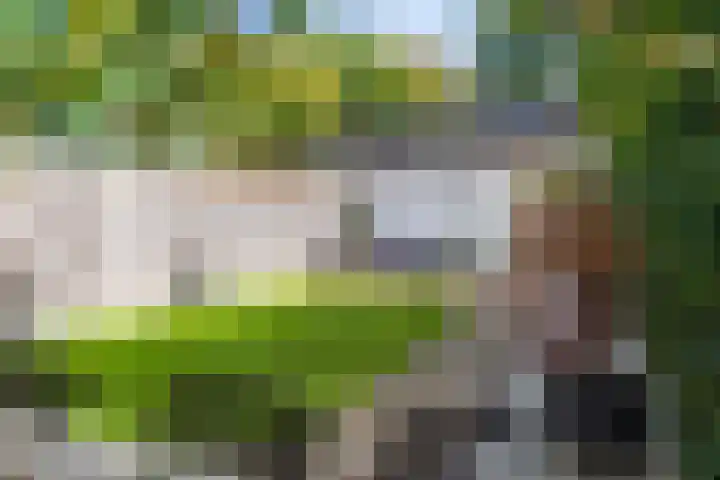 Guido Gezellelaan 5 Berkel-Enschot thumbnail 38