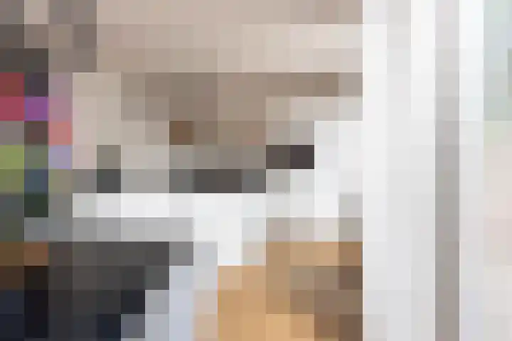 Guido Gezellelaan 5 Berkel-Enschot thumbnail 4