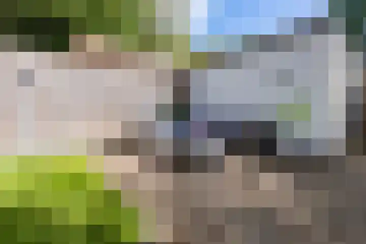 Guido Gezellelaan 5 Berkel-Enschot thumbnail 41