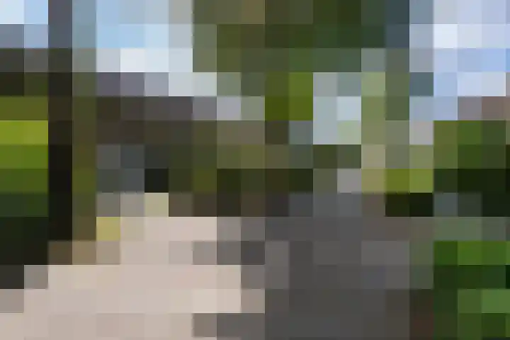 Guido Gezellelaan 5 Berkel-Enschot thumbnail 44