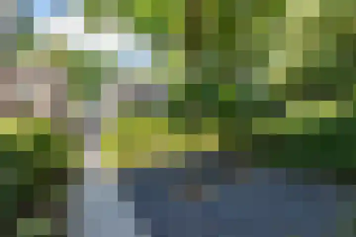 Guido Gezellelaan 5 Berkel-Enschot thumbnail 8