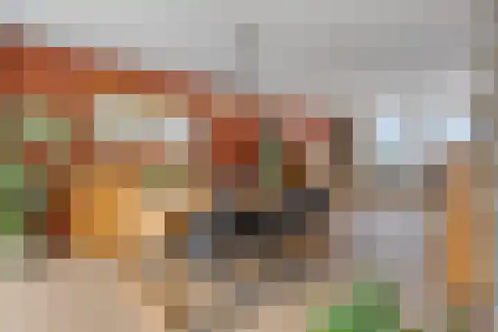 Guido Gezellelaan 50 Goirle thumbnail 11