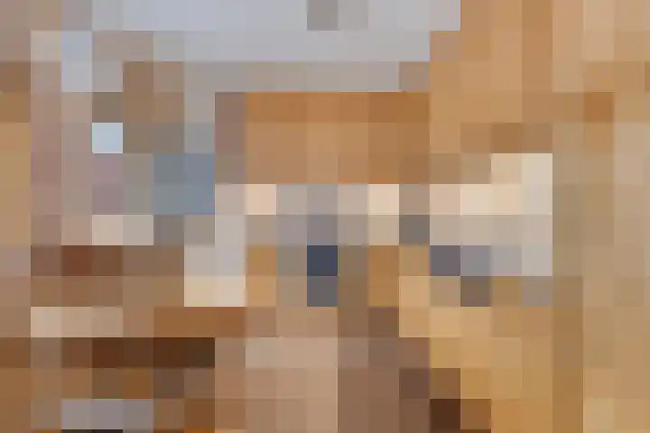Guido Gezellelaan 50 Goirle thumbnail 13