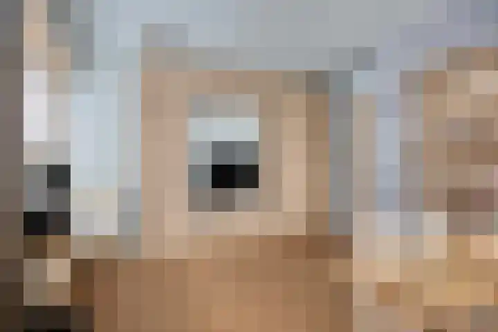 Guido Gezellelaan 50 Goirle thumbnail 18