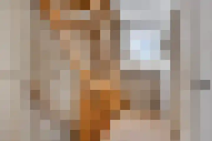 Guido Gezellelaan 50 Goirle thumbnail 19