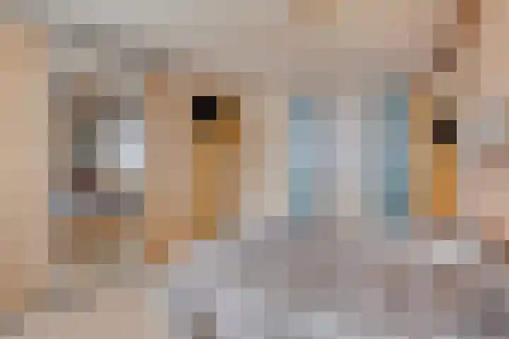 Guido Gezellelaan 50 Goirle thumbnail 22