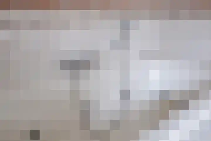 Guido Gezellelaan 50 Goirle thumbnail 25