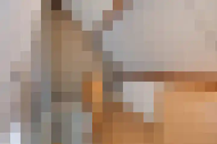 Guido Gezellelaan 50 Goirle thumbnail 32