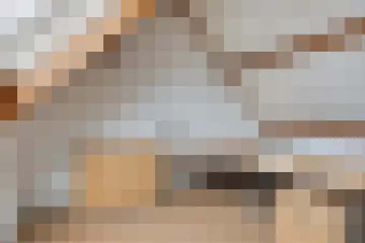 Guido Gezellelaan 50 Goirle thumbnail 34