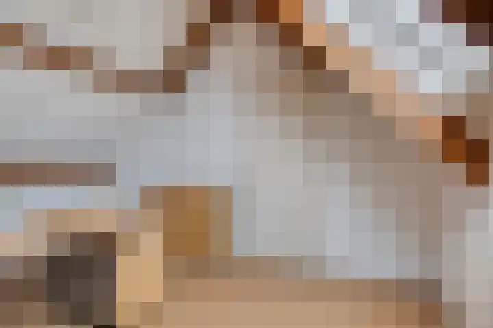 Guido Gezellelaan 50 Goirle thumbnail 35