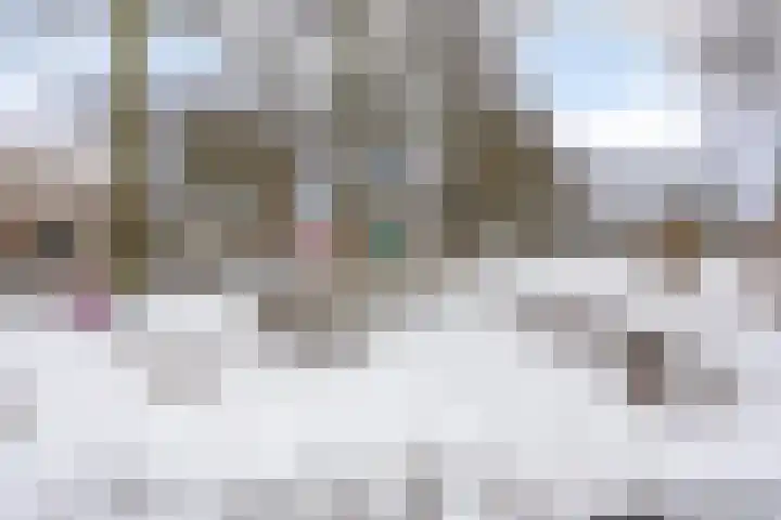 Guido Gezellelaan 50 Goirle thumbnail 40