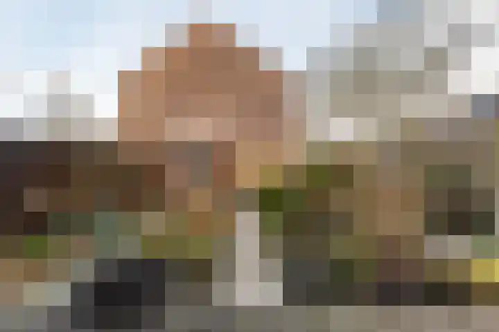 Guido Gezellelaan 66 Hillegom thumbnail 14