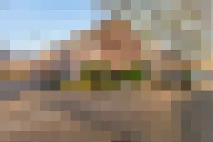 Guido Gezellelaan 66 Hillegom thumbnail 35