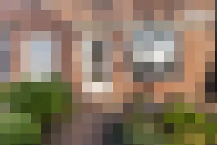 Guido Gezellelaan 66 Hillegom thumbnail 5