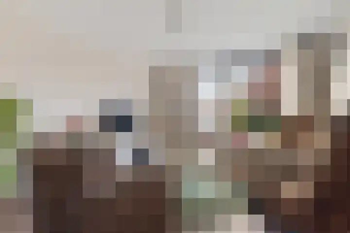 Guido Gezellelaan 66 Hillegom thumbnail 6