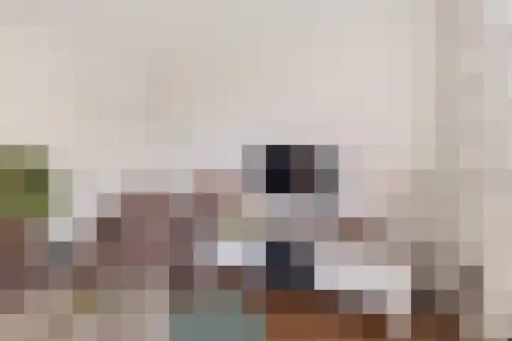 Guido Gezellelaan 66 Hillegom thumbnail 9