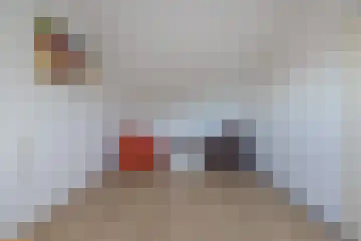 Guido Gezellelaan 72 Hillegom thumbnail 44