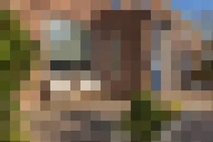 Guido Gezellelaan 72 Hillegom thumbnail 51