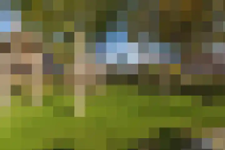 Guido Gezellelaan 72 Hillegom thumbnail 52