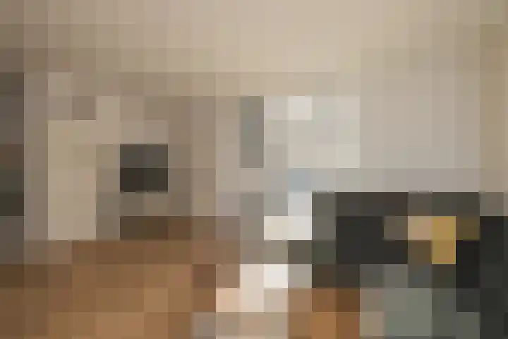 Guido Gezellelaan 72 Hillegom thumbnail 7
