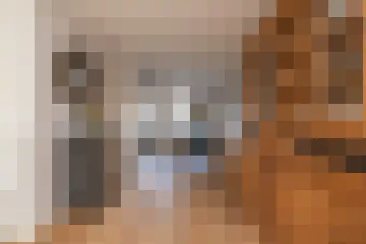 Guido Gezellelaan 72 Hillegom thumbnail 8