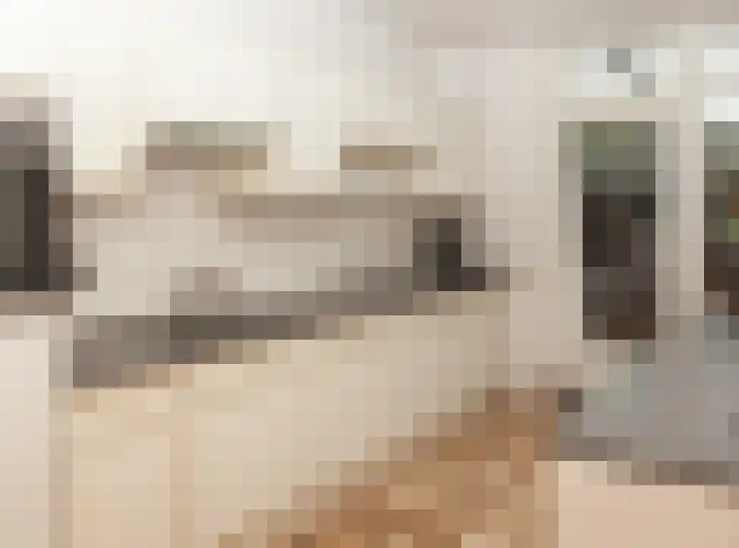 Guido Gezellelaan 76 Etten-Leur thumbnail 15