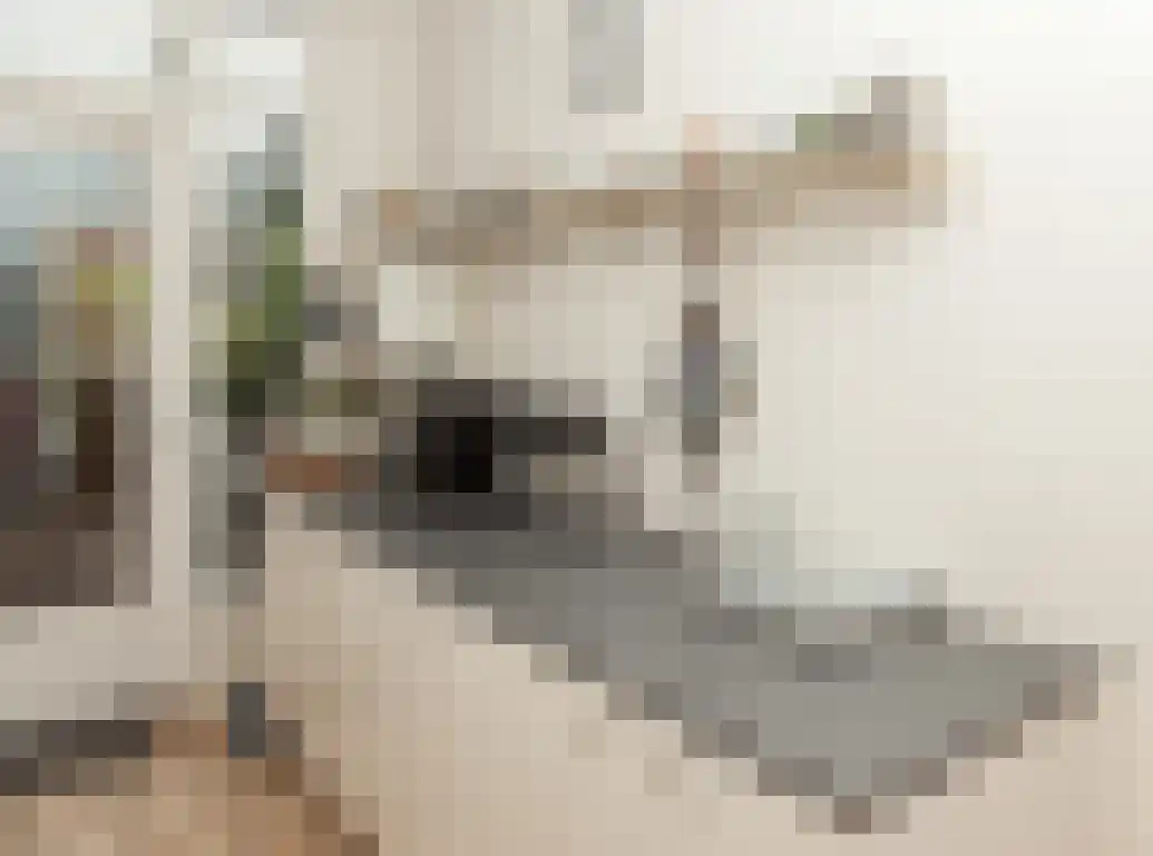 Guido Gezellelaan 76 Etten-Leur thumbnail 17