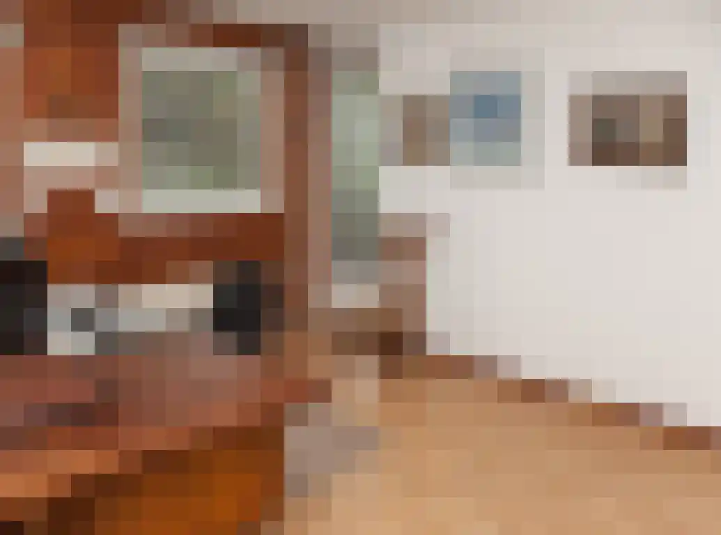 Guido Gezellelaan 76 Etten-Leur thumbnail 22
