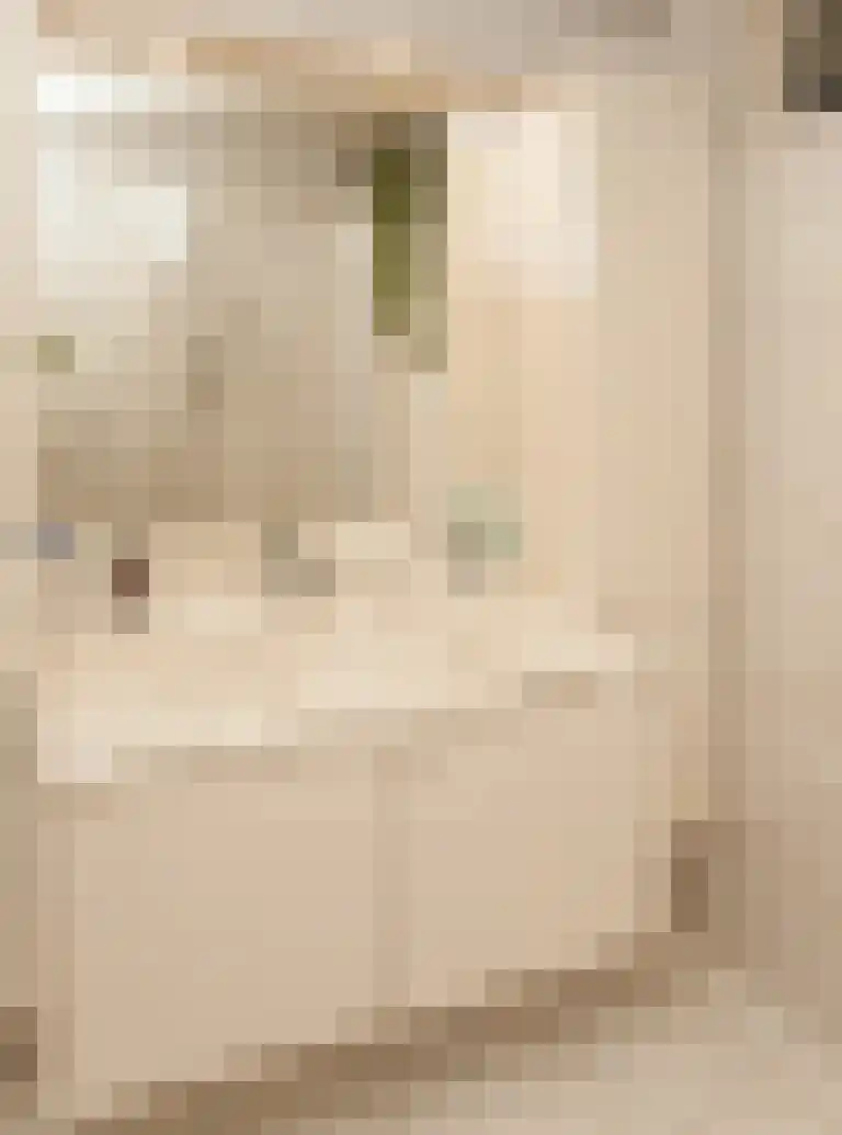 Guido Gezellelaan 76 Etten-Leur thumbnail 28