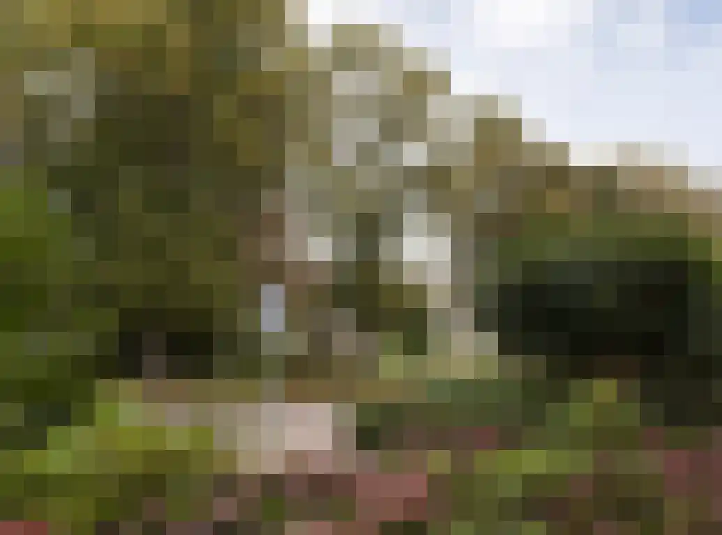 Guido Gezellelaan 76 Etten-Leur thumbnail 42