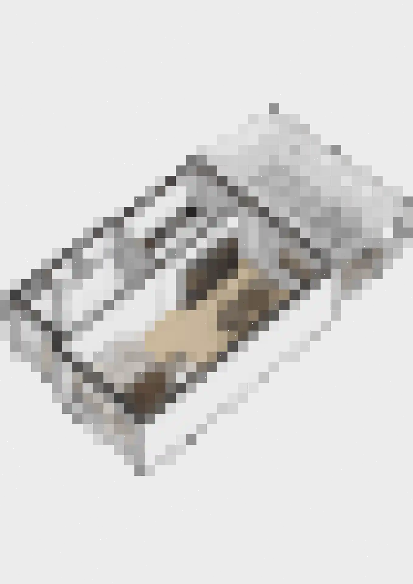 Guido Gezellelaan 76 Etten-Leur thumbnail 44