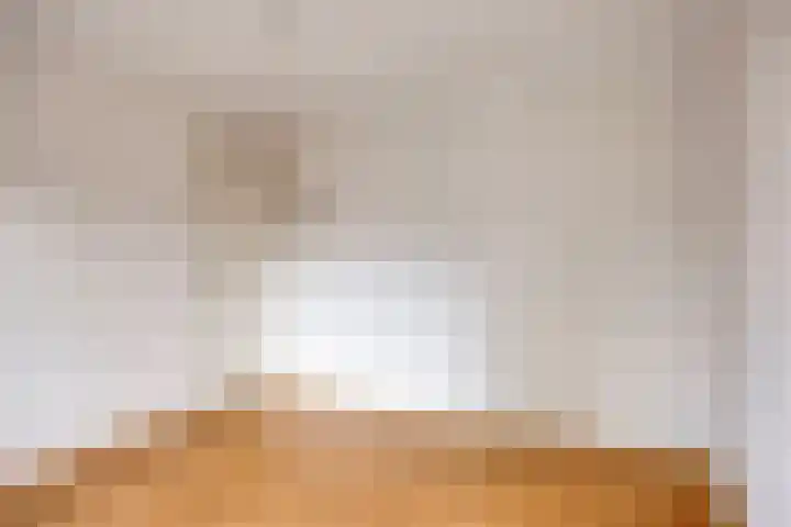 Guido Gezellelaan 8 Berkel-Enschot thumbnail 24