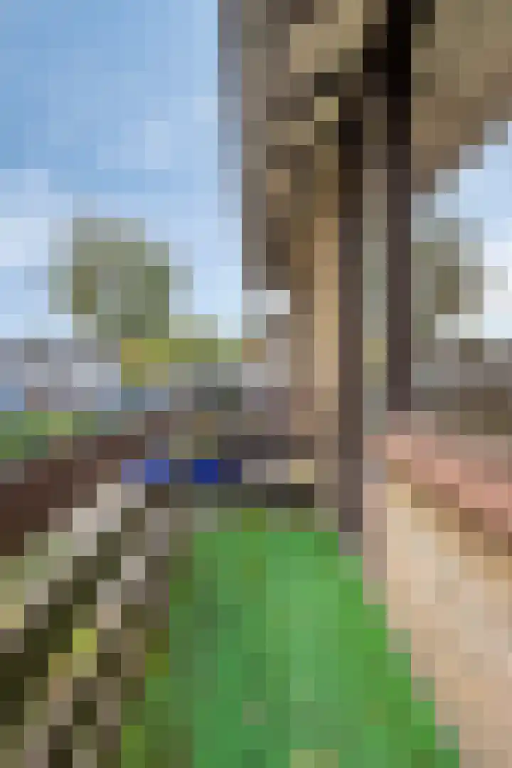 Guido Gezellelaan 8 Berkel-Enschot thumbnail 26