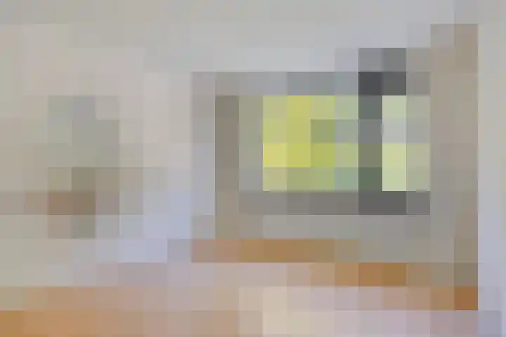 Guido Gezellelaan 8 Berkel-Enschot thumbnail 27