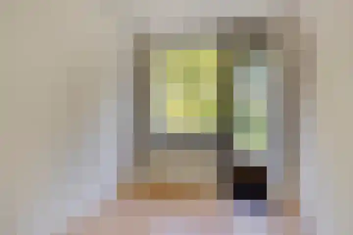 Guido Gezellelaan 8 Berkel-Enschot thumbnail 29