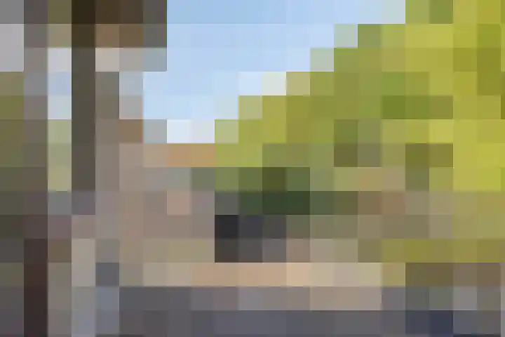 Guido Gezellelaan 8 Berkel-Enschot thumbnail 32