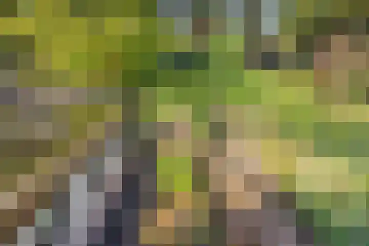 Guido Gezellelaan 8 Berkel-Enschot thumbnail 33