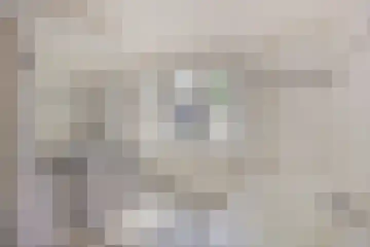 Guido Gezellelaan 8 Berkel-Enschot thumbnail 35