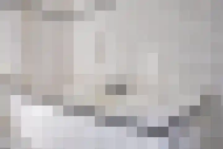 Guido Gezellelaan 8 Berkel-Enschot thumbnail 39