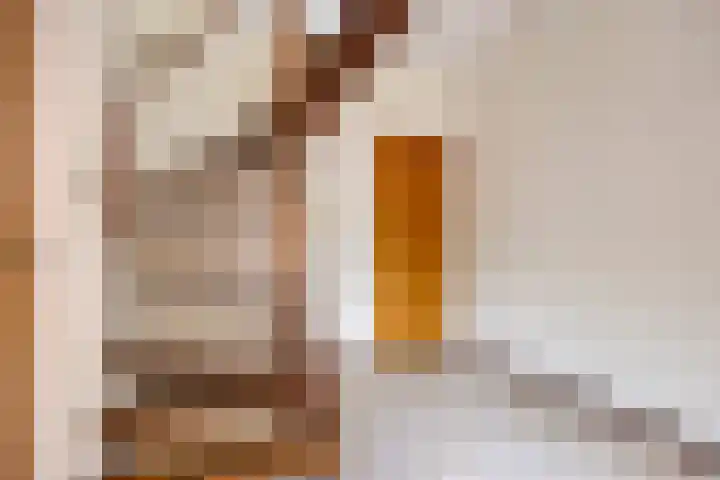Guido Gezellelaan 8 Berkel-Enschot thumbnail 4