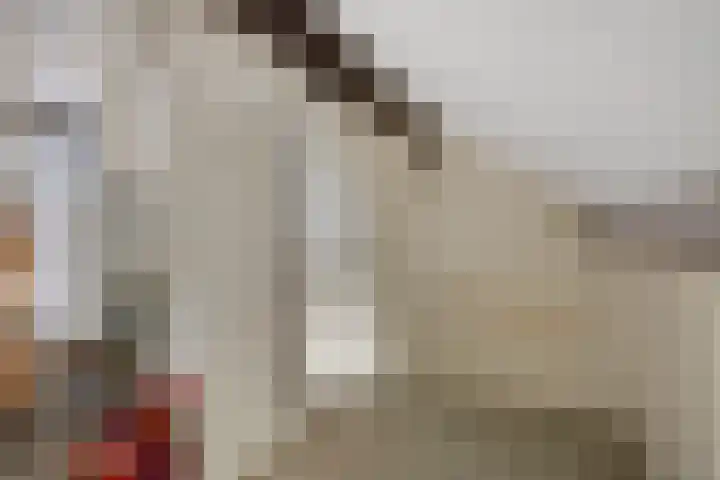 Guido Gezellelaan 8 Berkel-Enschot thumbnail 40
