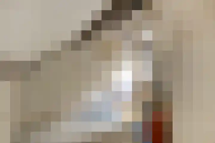 Guido Gezellelaan 8 Berkel-Enschot thumbnail 41