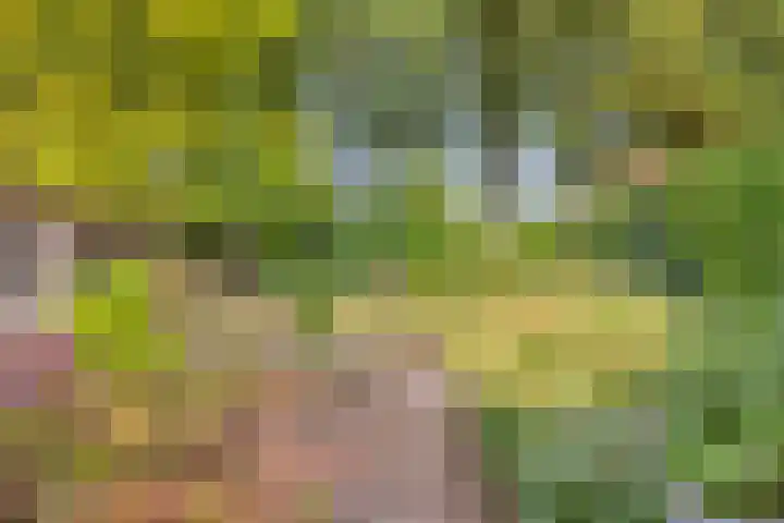 Guido Gezellelaan 8 Berkel-Enschot thumbnail 47