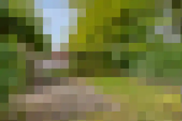 Guido Gezellelaan 8 Berkel-Enschot thumbnail 51