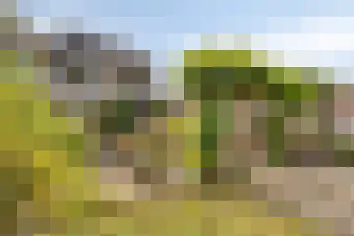 Guido Gezellelaan 8 Berkel-Enschot thumbnail 53